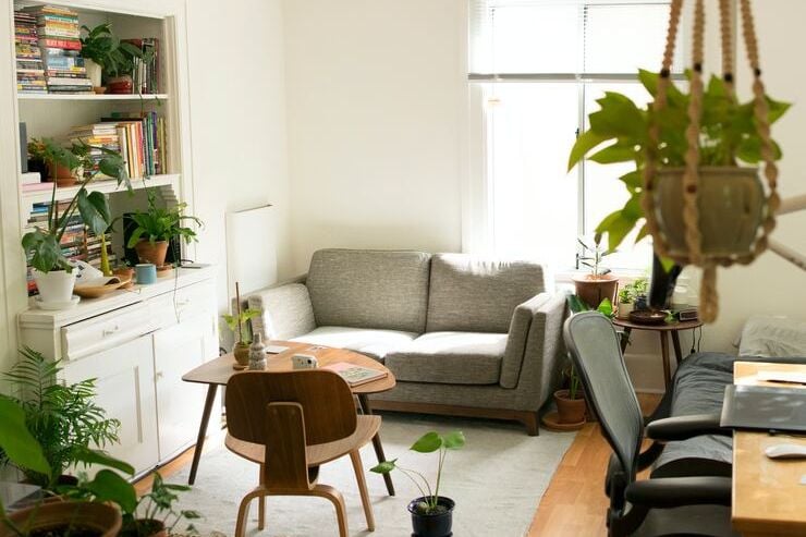 sala com plantas em primeiro plano
