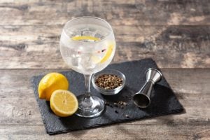 gin importado